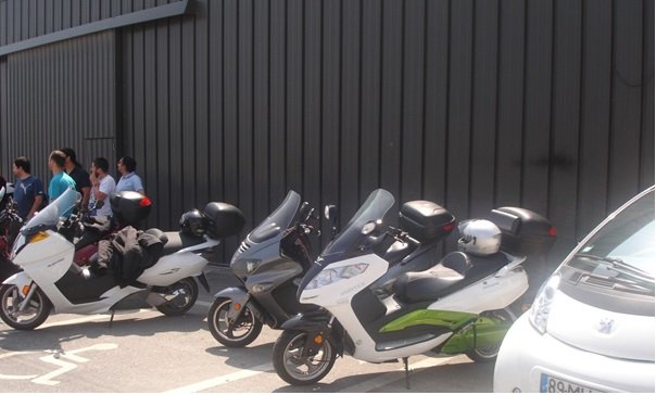 FIG FOZ.jpg