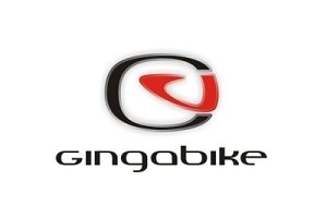 Gingabike
